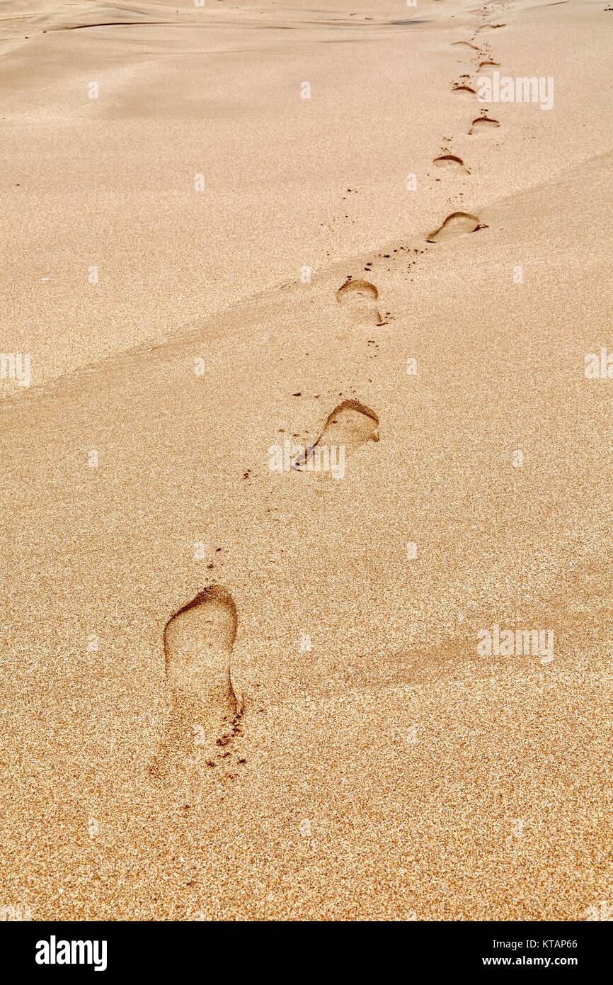 Spuren im Sand Stockfoto
