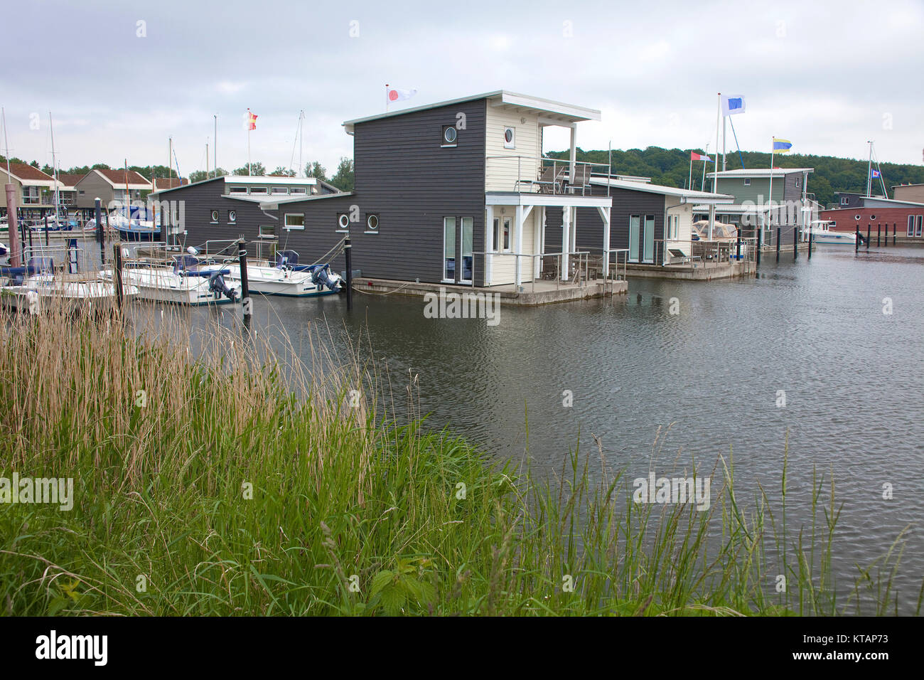 Schwimmen Ferienwohnungen im Marina Lauterbach, Greifswalder Bodden, Insel Rügen, Mecklenburg-Vorpommern, Ostsee, Deutschland, Europa Stockfoto