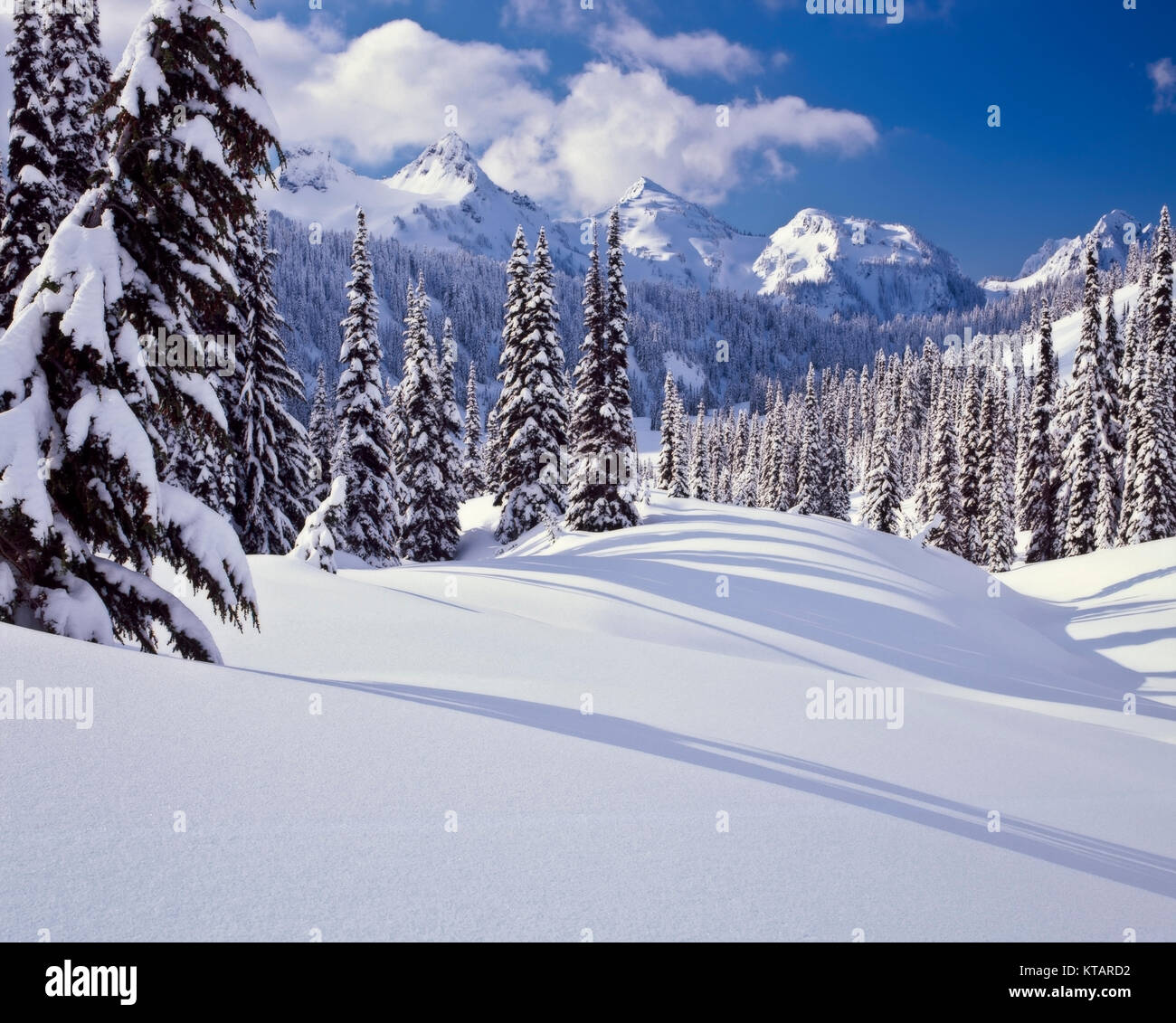 Washingtons Tatoosh Bereich zeigte während einer kurzen Winter Clearing in Mt Rainier National Park. Stockfoto