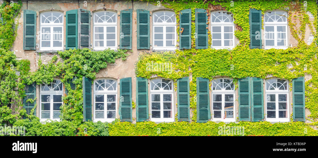 Fassade Begrünung mit Kletterpflanzen Stockfoto