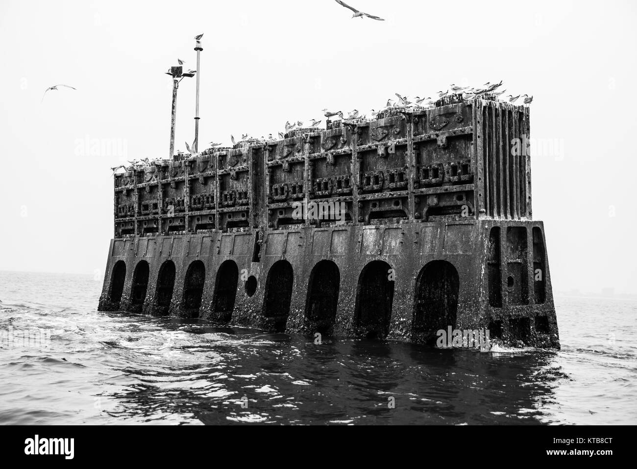 Schiffswrack aus dem Meer Negombo klemmt Stockfoto