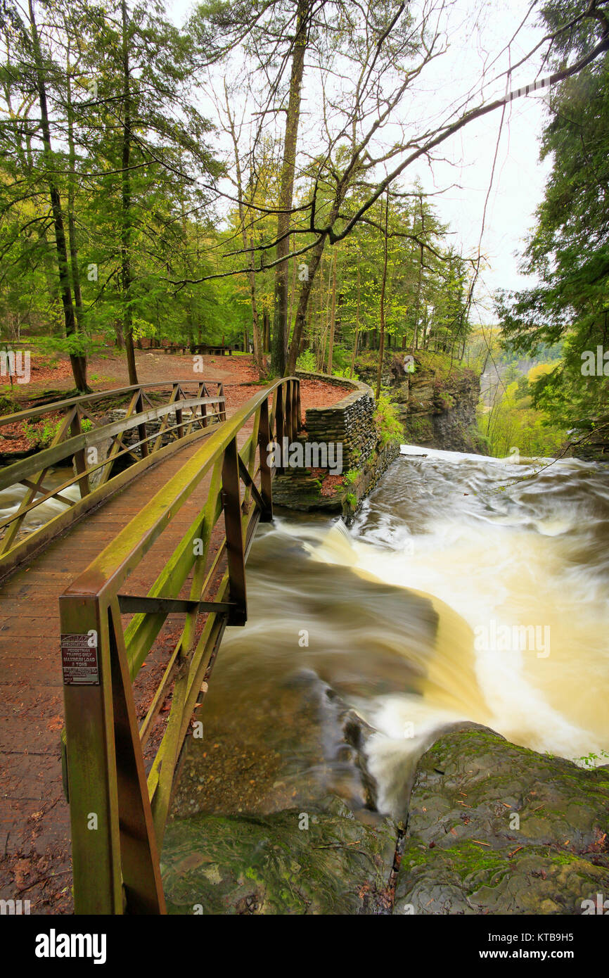 Schlucht Fußgängerbrücke, Wolf Creek, Letchworth State Park, New York, USA Stockfoto