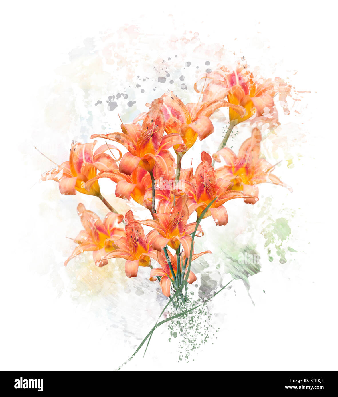 Orange Lilie Blumen Aquarell Stockfoto
