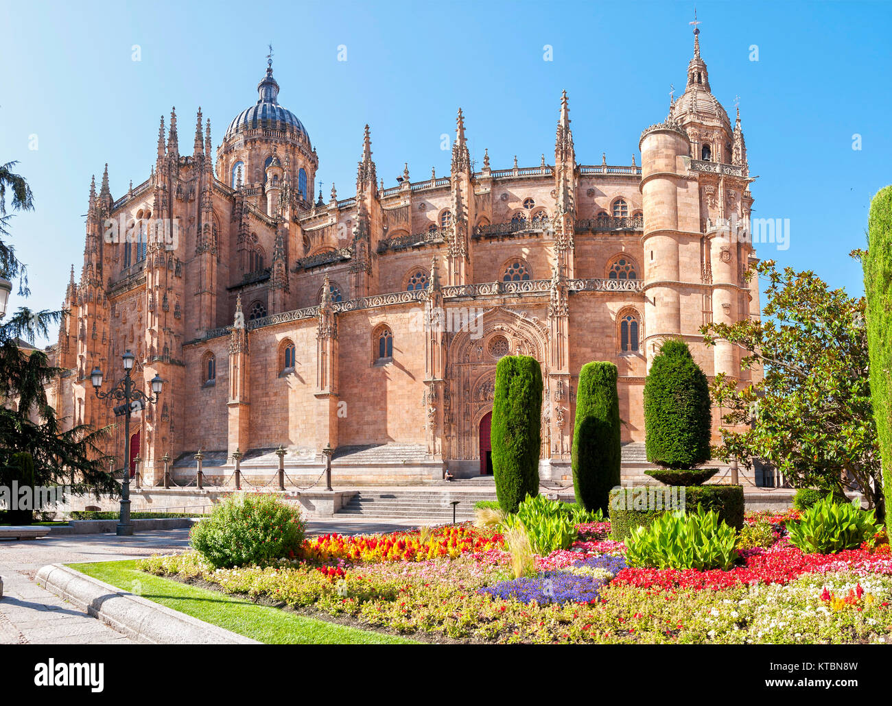 Catedral Nueva de Salamanca. Ciudad Patrimonio de la Humanidad. Castilla León. España Stockfoto