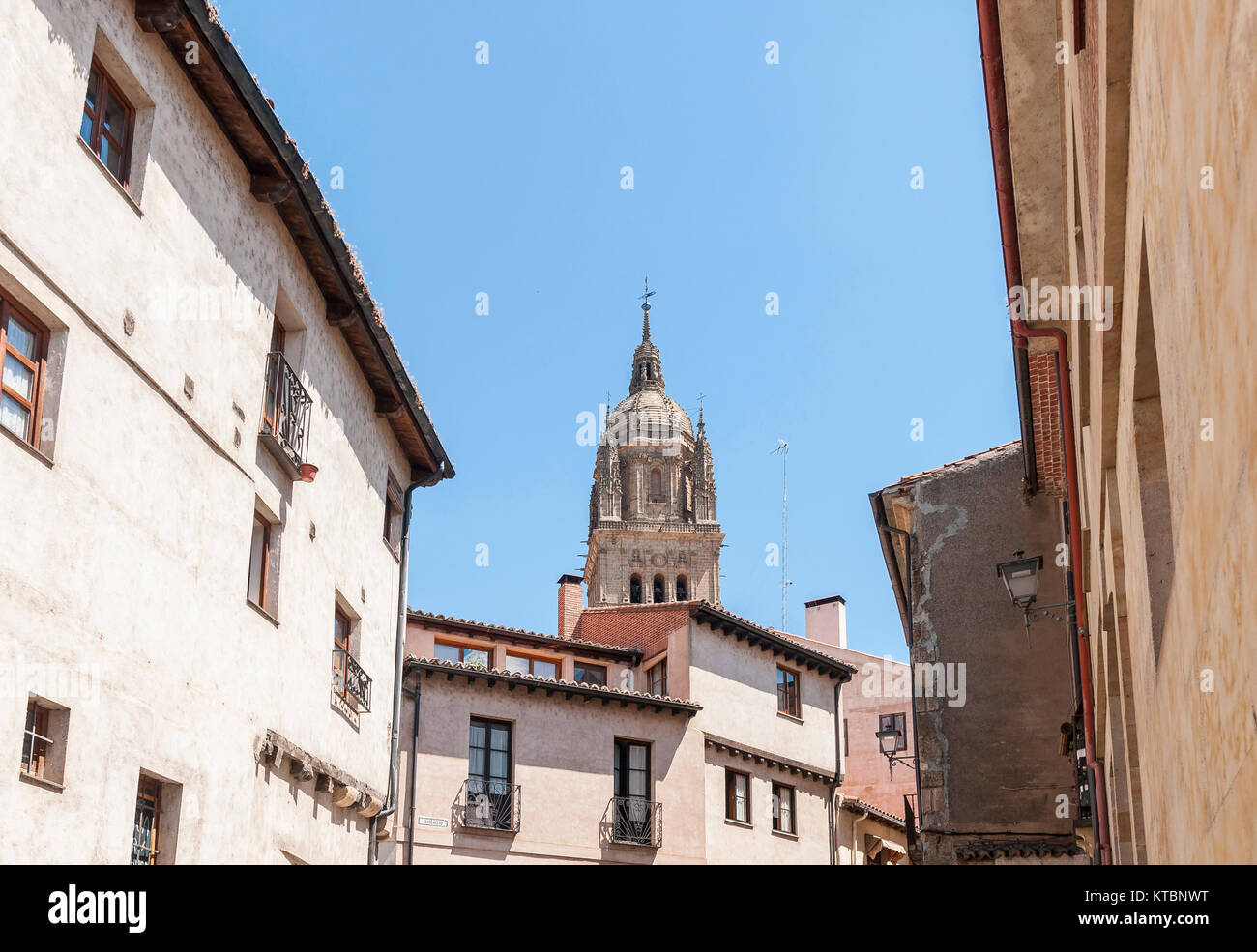 Catedral de Salamanca. Ciudad Patrimonio de la Humanidad. Castilla León. España Stockfoto