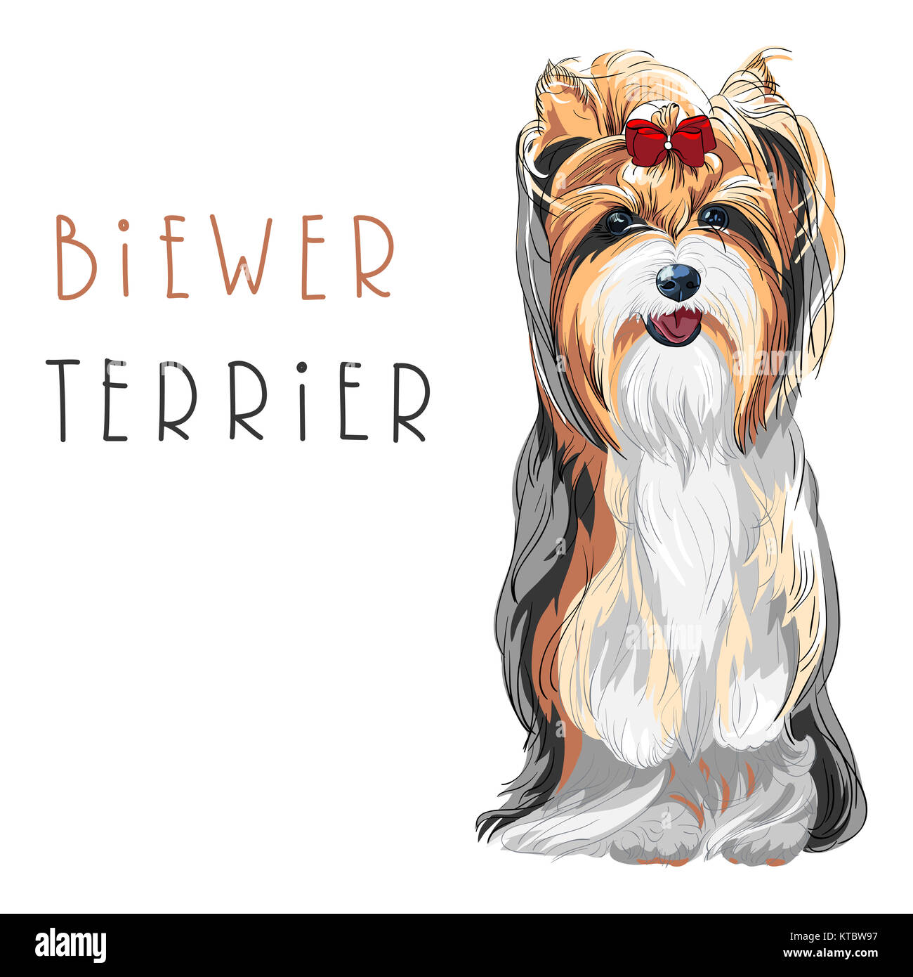 Vektor lustige Biewer Yorkshire Terrier Hundesitting Stockfoto