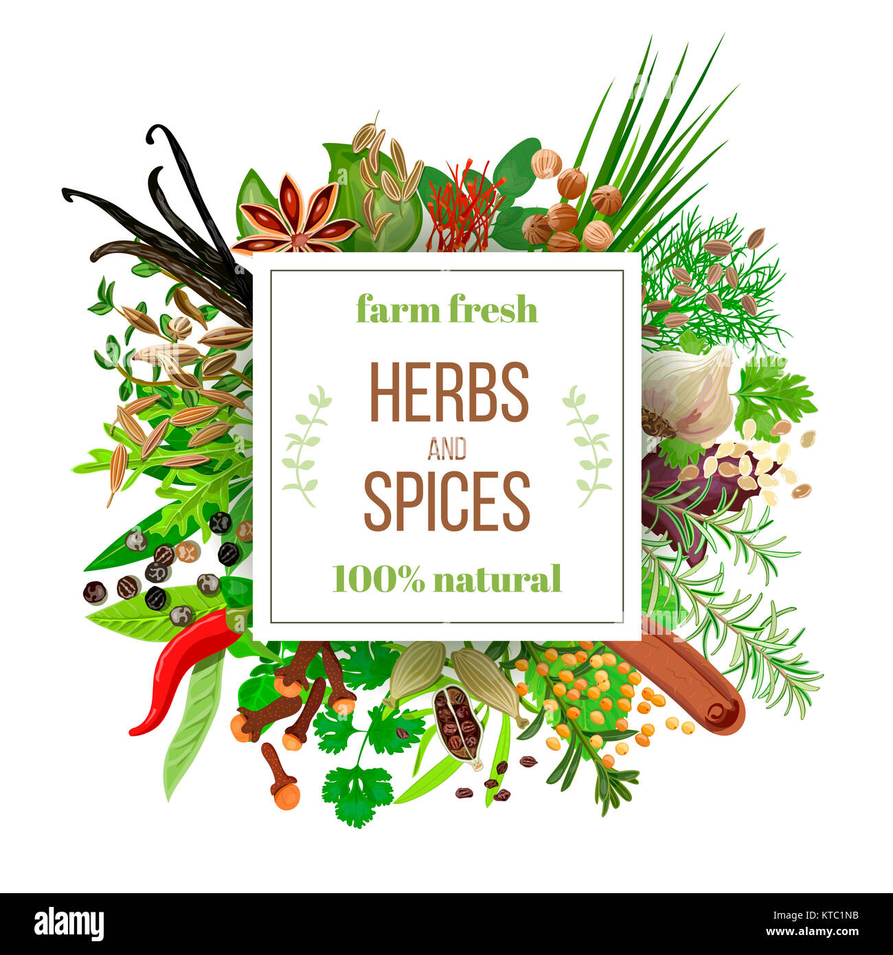 Culiherb Stockfoto