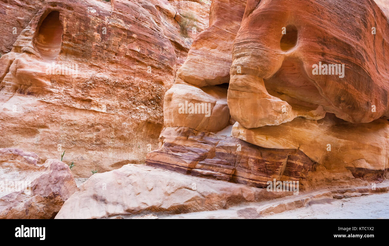 Elefant Steine in Al Siq Passage zur antiken Petra Stockfoto