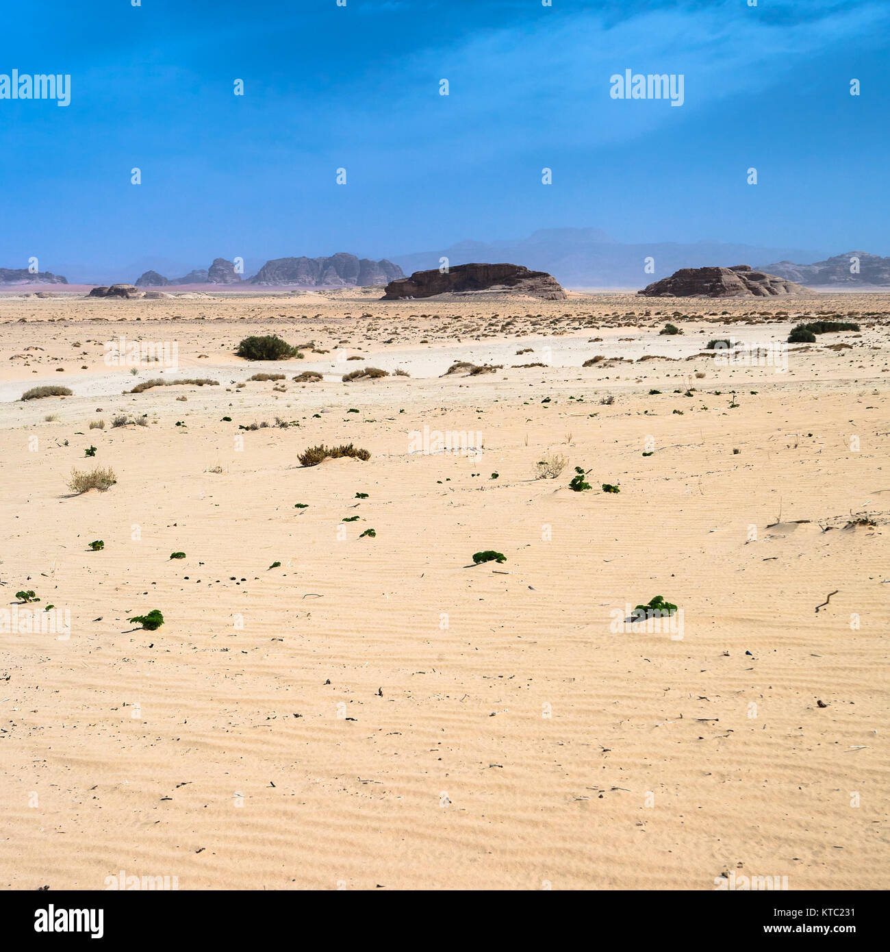 Ansicht des Wadi Rum Wüste Stockfoto