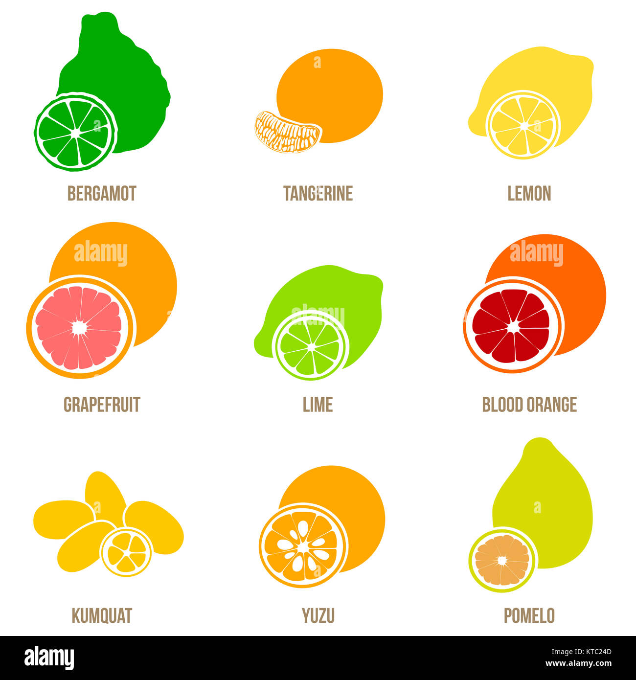 Zitrusfrüchte vektor Flachbild, ganze Früchte und Scheiben Stockfoto