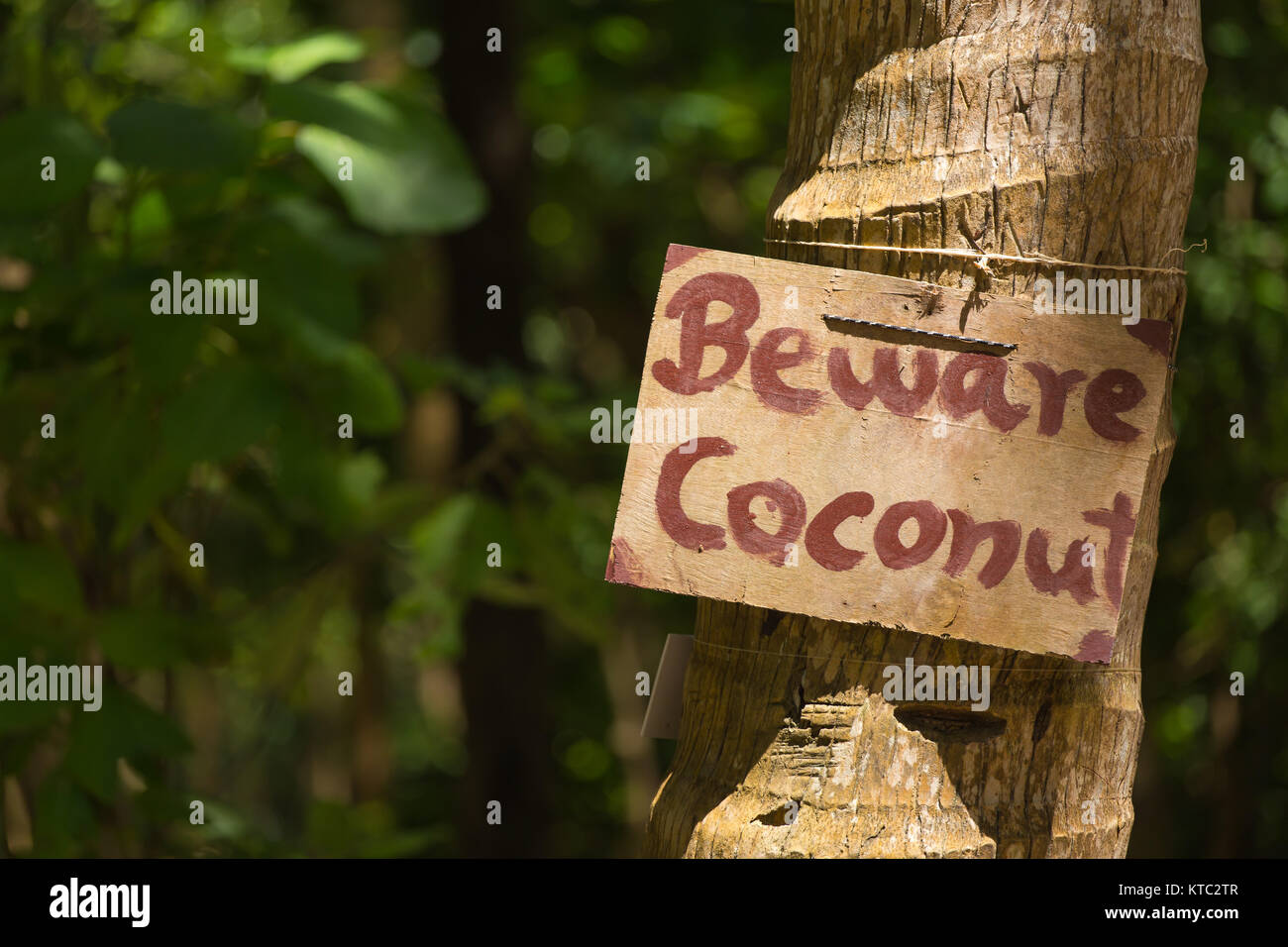 Ansage mit Vorsicht Coconut Stockfoto