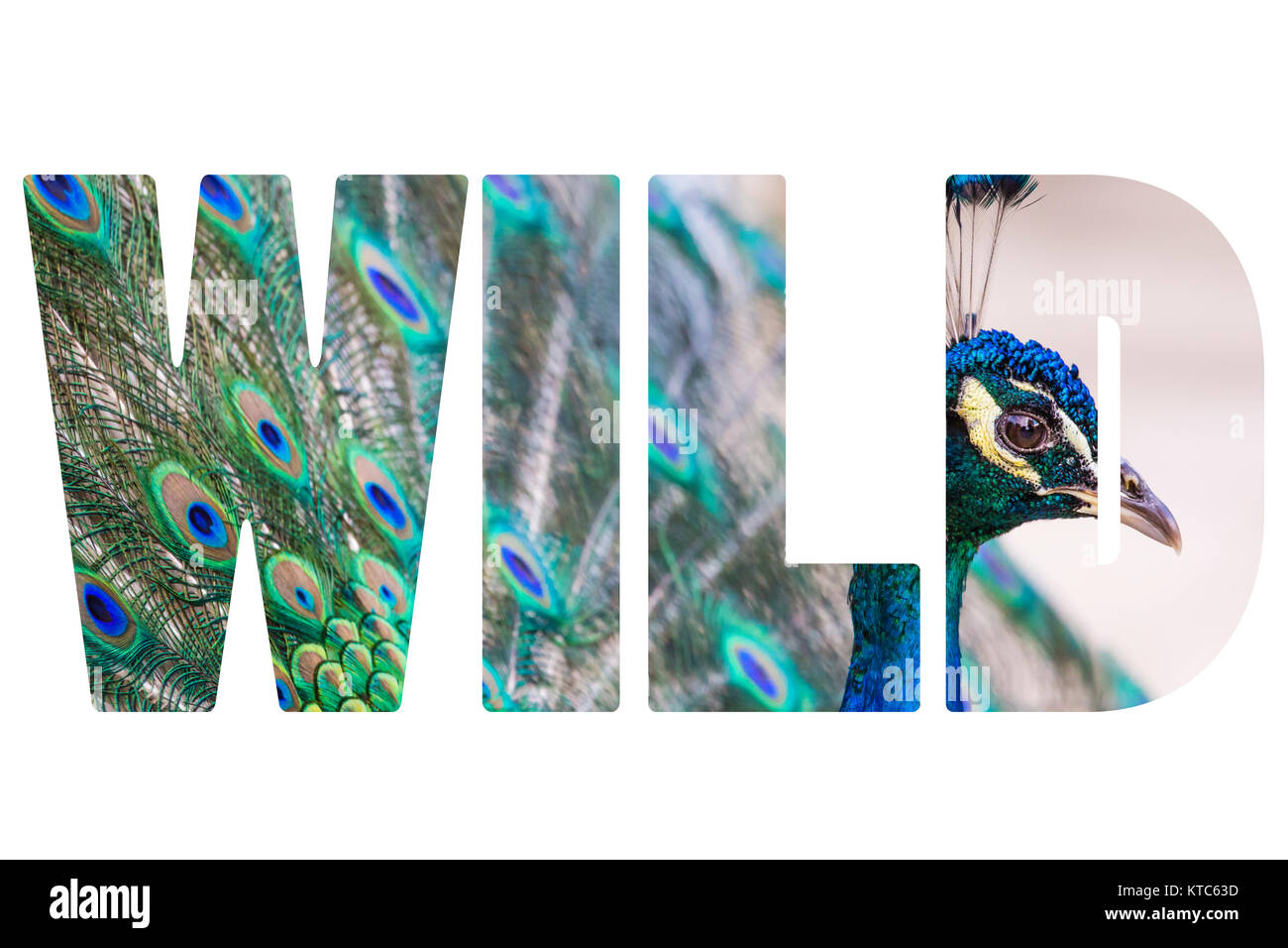 X-Standard Stockfoto