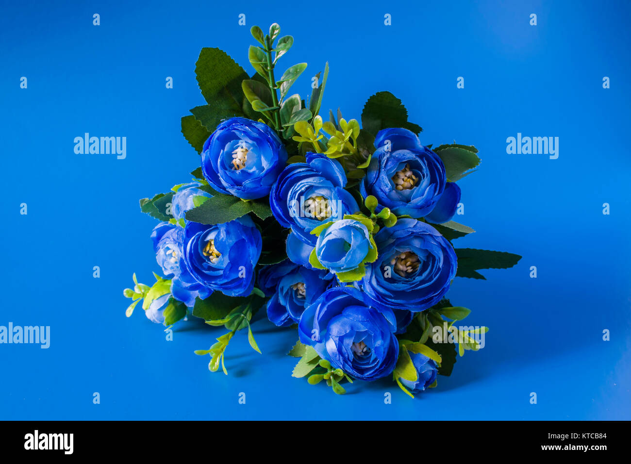 Violette Blumen auf einem kobaltblauen Hintergrund. Schönes blaues Leuchten Hintergrund Stockfoto