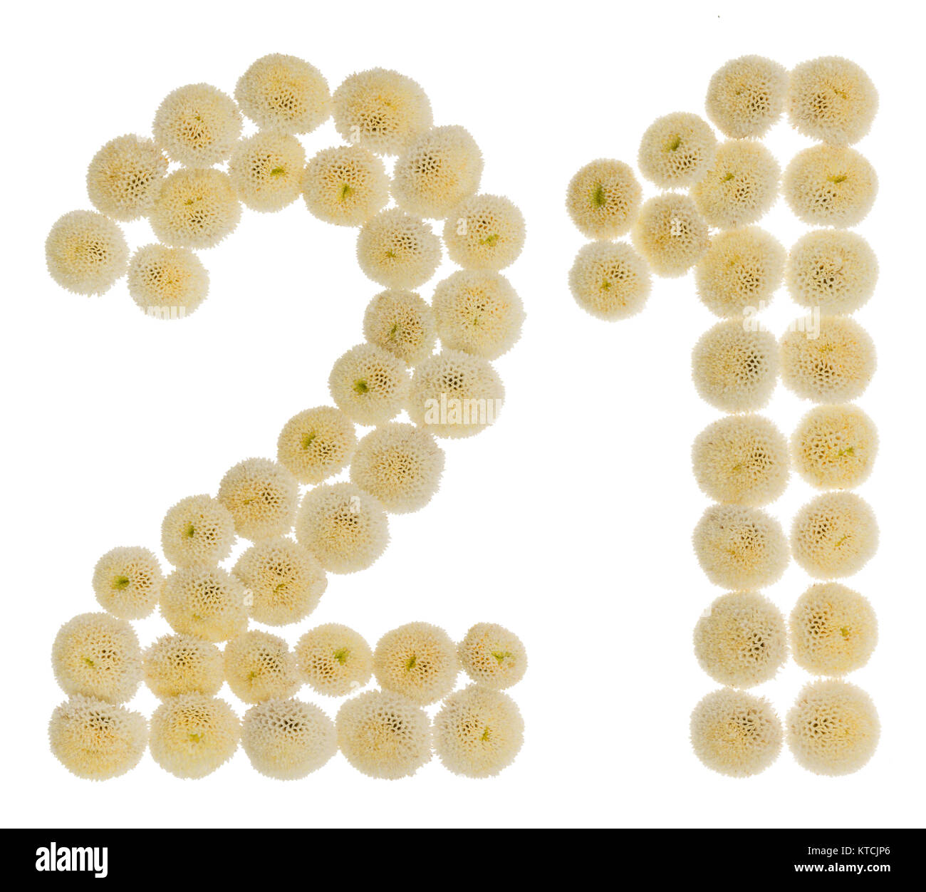 Arabische Zahlen 21, 21, aus Rahm Blumen der Chrysantheme, auf weißem Hintergrund Stockfoto