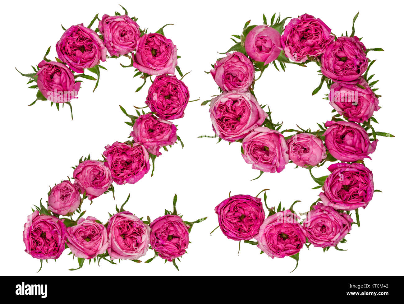 Arabische Zahlen 29, 29, von roten Blüten der Rose, auf weißem Hintergrund Stockfoto