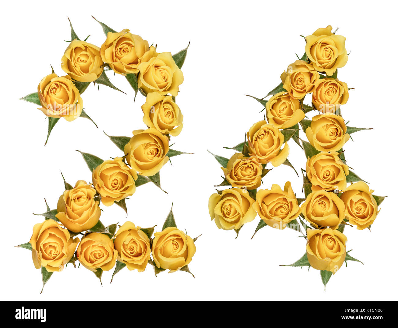 Arabische Zahlen 24, 24, von gelben Blumen aus Rose, auf weißem Hintergrund Stockfoto