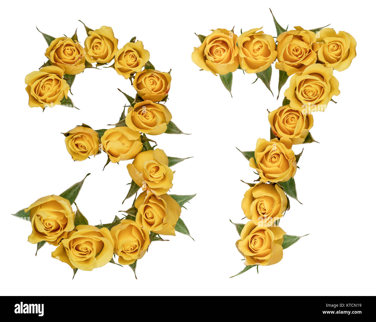 Arabische Zahlen 37, 37, von gelben Blumen aus Rose, auf weißem Hintergrund Stockfoto