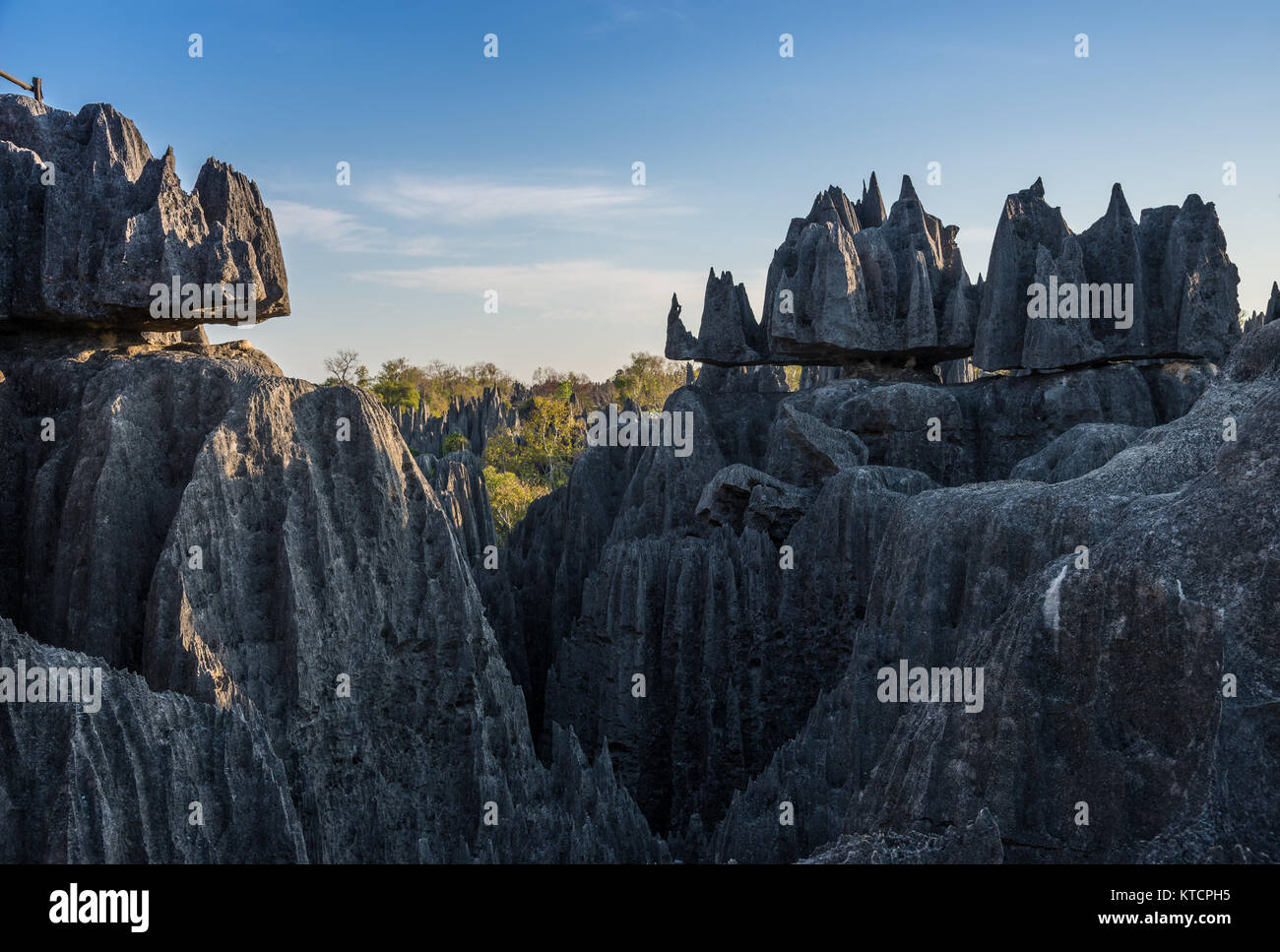 Die raue Landschaft des Karst Kalkstein an der Tsingy de Bemaraha National Park. Madagaskar, Afrika. Stockfoto