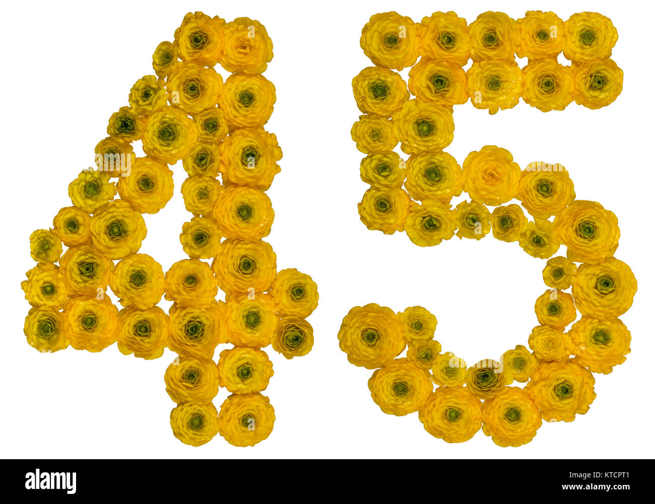 Arabische Zahlen 45, 45, von gelben Blumen der Hahnenfuß, auf weißem Hintergrund Stockfoto