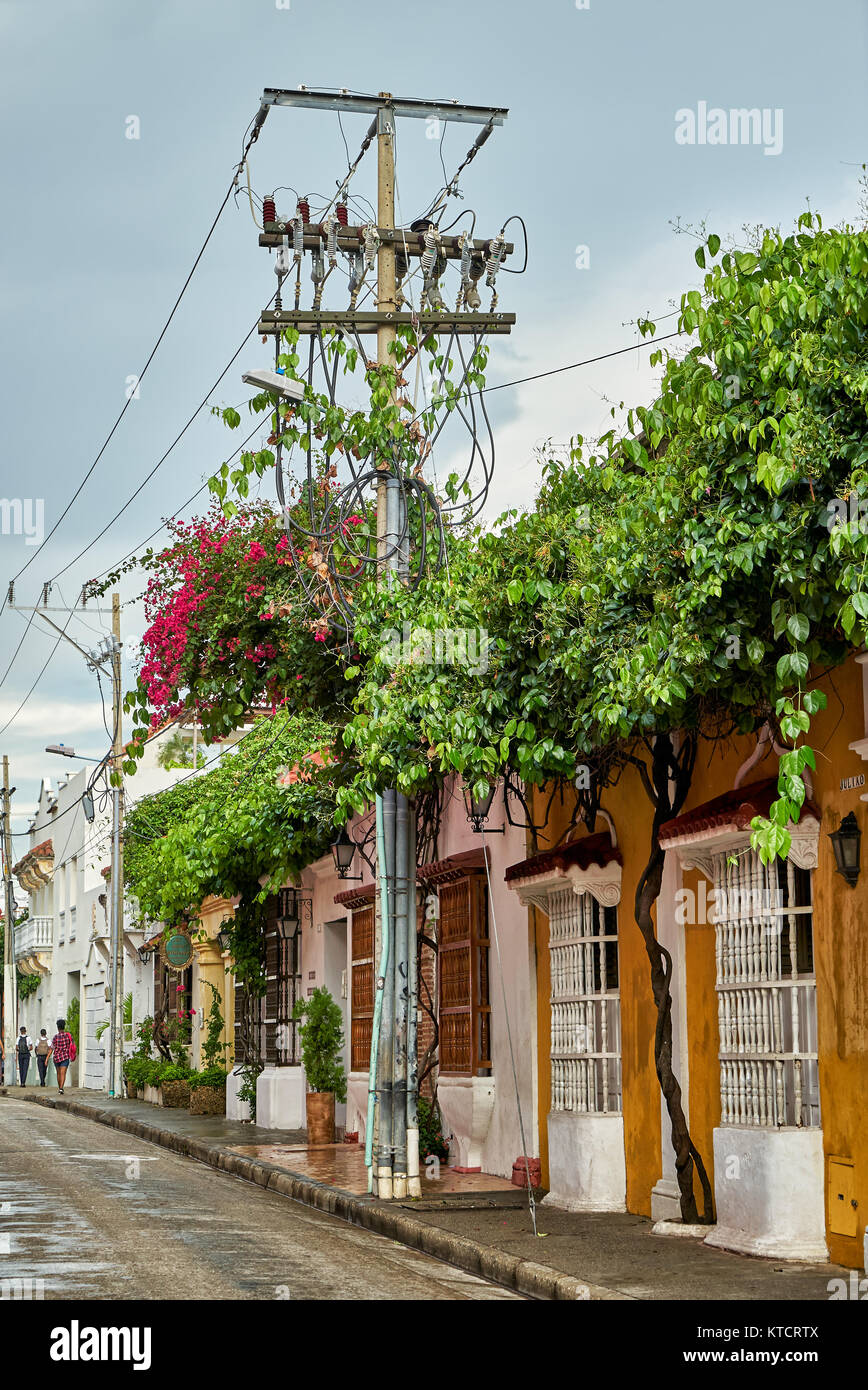 Strommast mit Blumen an typischen bunten Fassaden der Häuser in Cartagena de Indias, Kolumbien, Südamerika Stockfoto