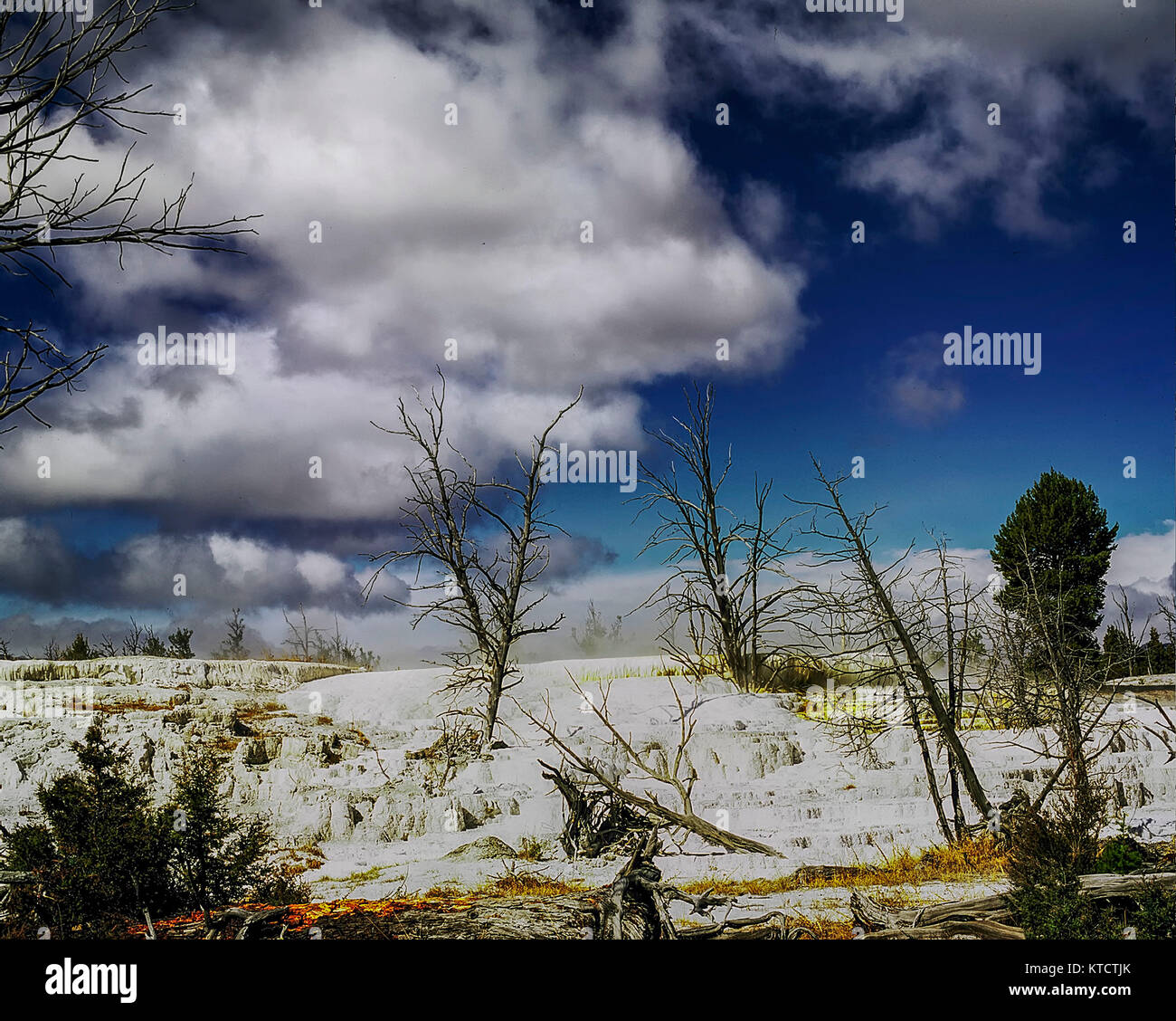 Mammoth Hot Springs im Yellowstone National Park Landschaft, Vereinigte Staaten von Amerika Stockfoto