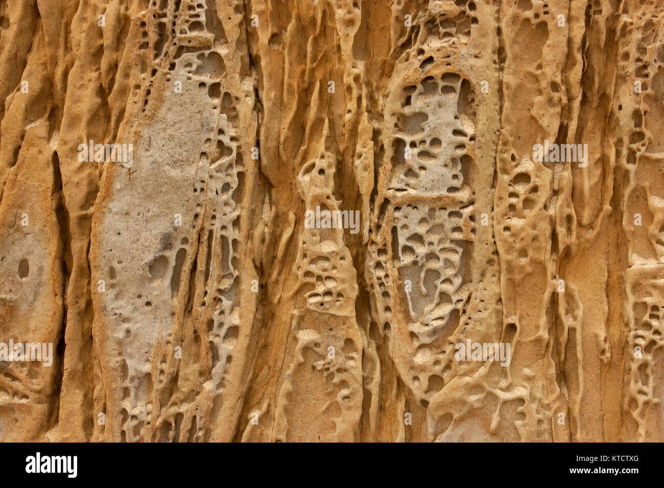 Verwitterte natürlichen Muster in Sandstein, Point Lobos, Kalifornien, USA Stockfoto