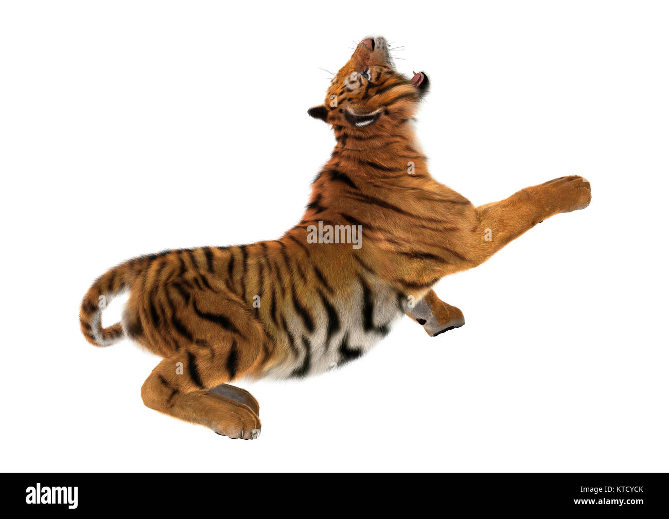 3D-Rendering Big Cat Tiger auf Weiß Stockfoto