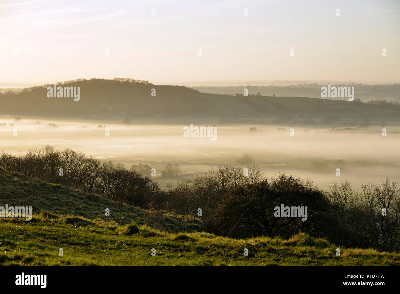 Nebel unten Dundon Hayes Hill, Polden Hills, Somerset Stockfoto