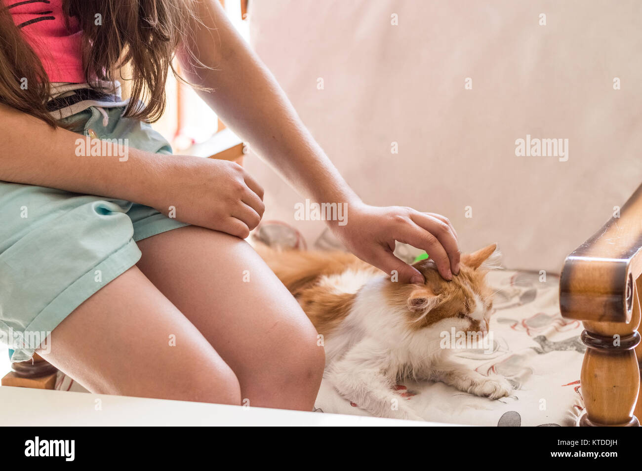 Mädchen spielen mit langen Haaren Kätzchen Festlegung zufrieden auf dem Sessel. Stockfoto