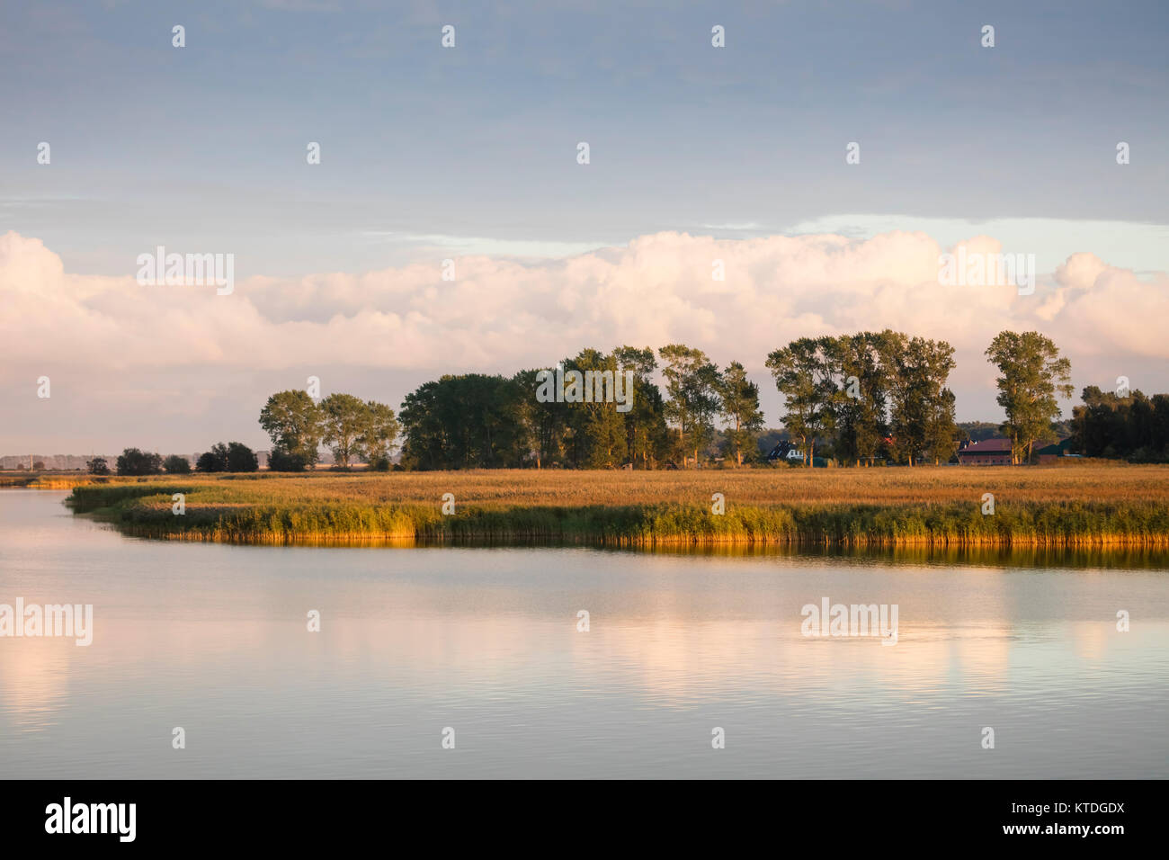Deutschland, Fischland-Darß-Zingst, Nationalpark Vorpommersche Boddenlandschaft, zur "Kirr" Insel, Bodden im Herbst Stockfoto