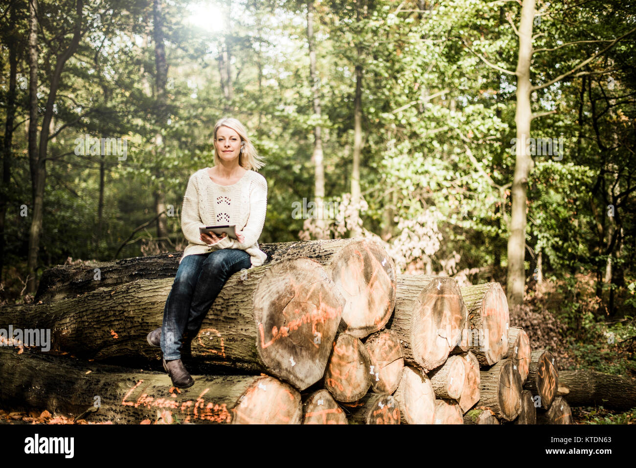 Portrait von Frau sitzt auf Stapel Baumstämme im Wald mit Tablet Stockfoto