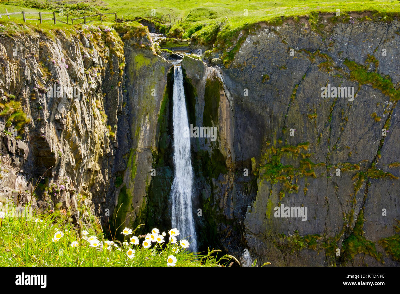 Die speke Mühle Mund Wasserfall eine Felsküste, bei Hartland Quay, Hartland, Devon, England, Großbritannien Stockfoto