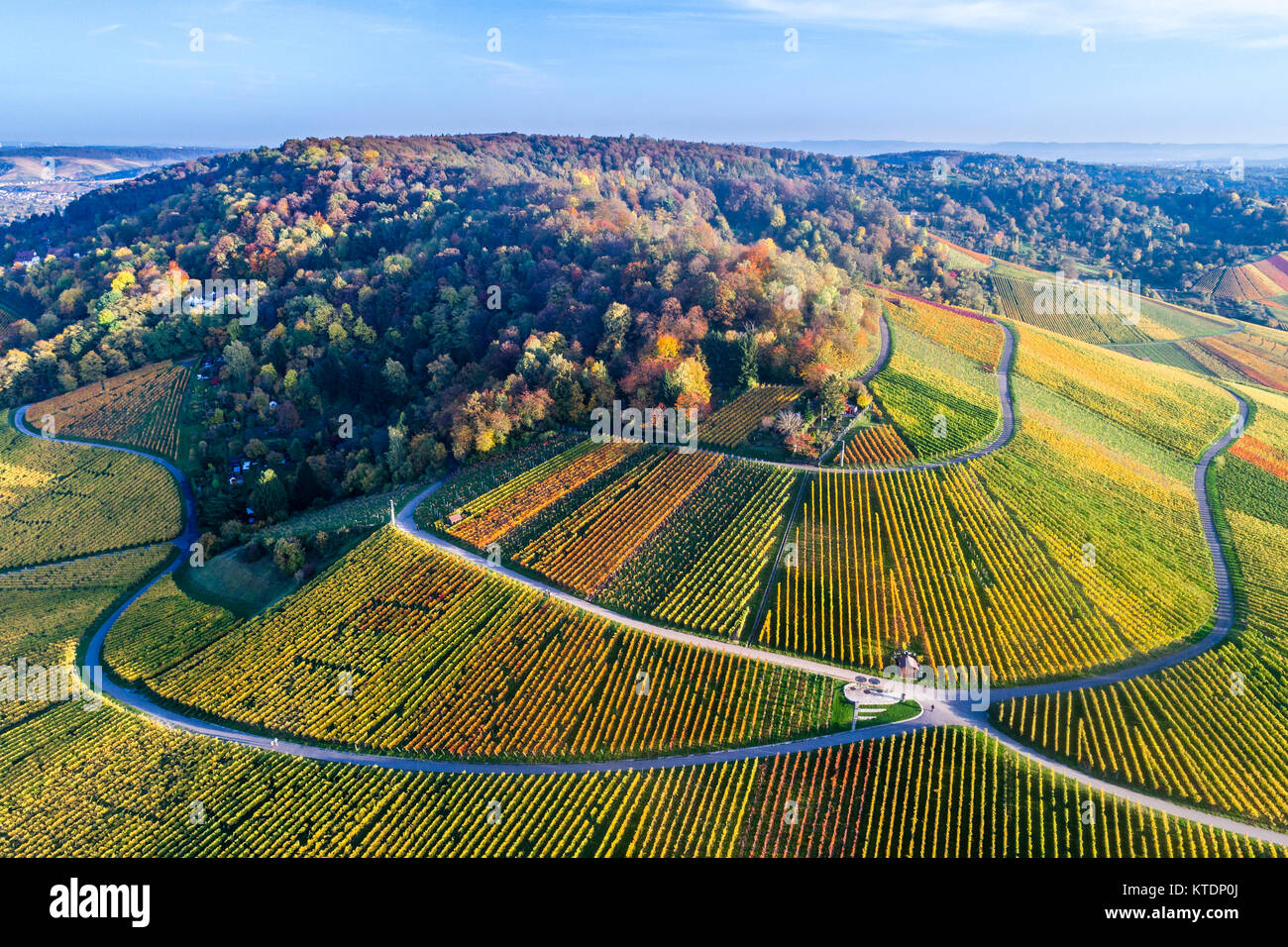 Deutschland, Stuttgart, Luftaufnahme von Weinbergen am Kappelberg im Herbst Stockfoto