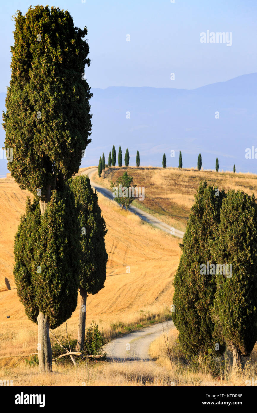 Val D'Orcia, Toskana, Italien Stockfoto