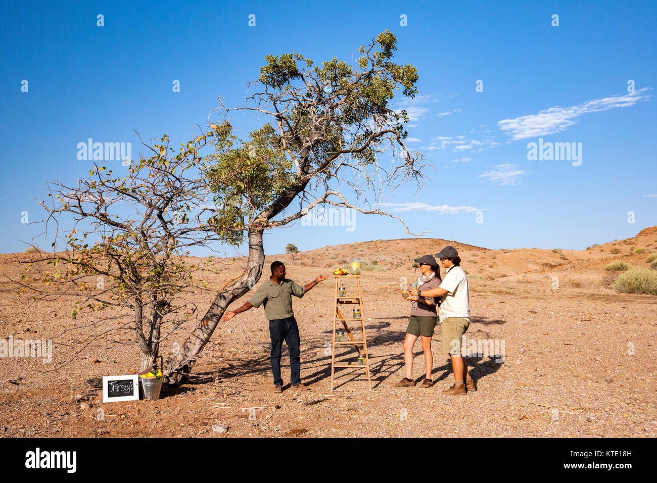 Limonade Stand am Huab unter Leinwand, Damaraland, Namibia, Afrika Stockfoto