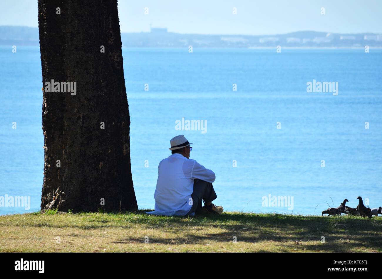 Mann allein sitzen, auf das Meer im Schatten eines Baumes Stockfoto