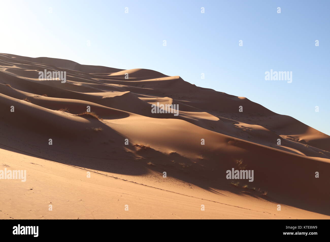 Wüste in der Nähe von Merzouga, Marokko Stockfoto