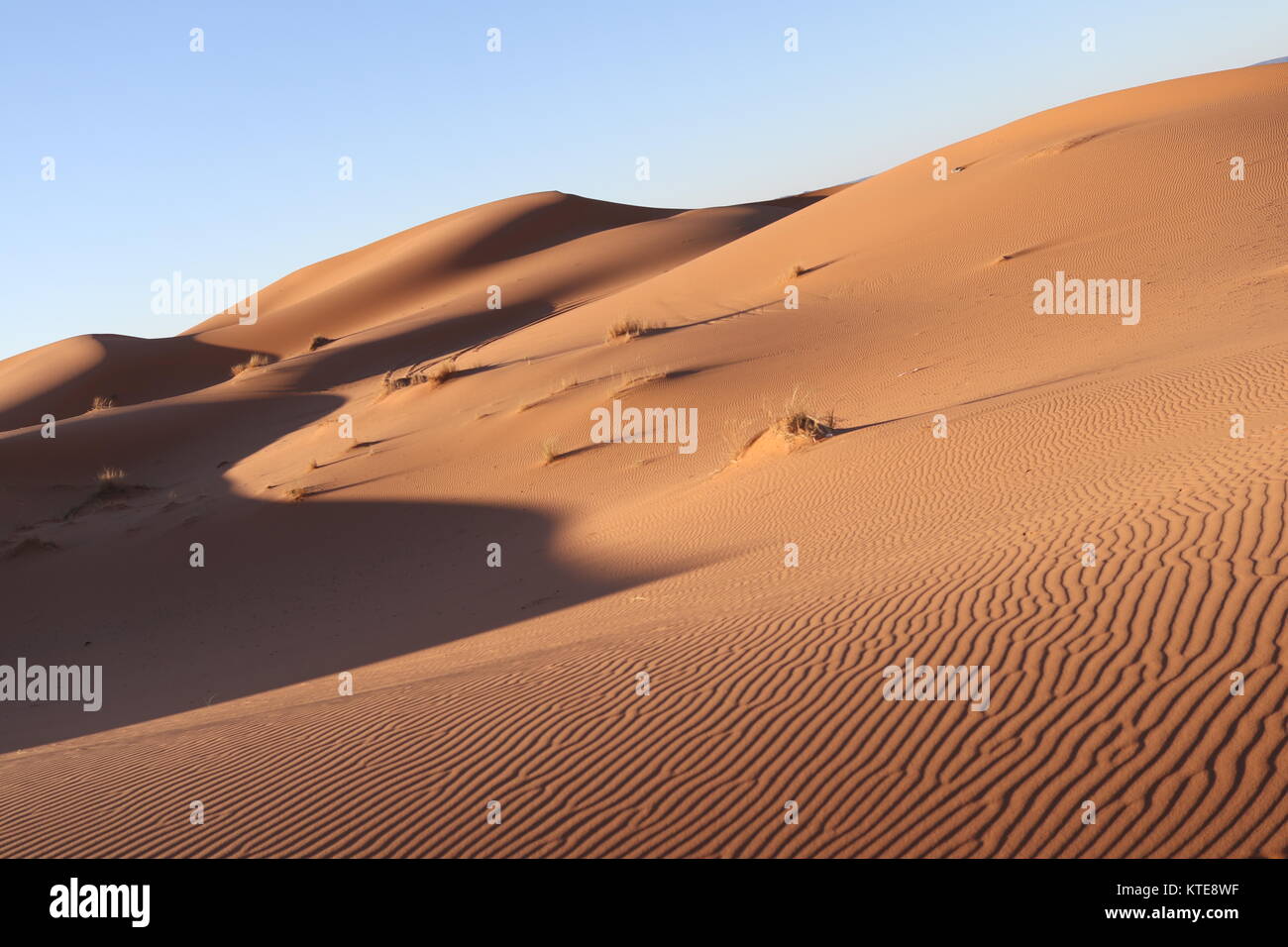 Wüste in der Nähe von Merzouga, Marokko Stockfoto