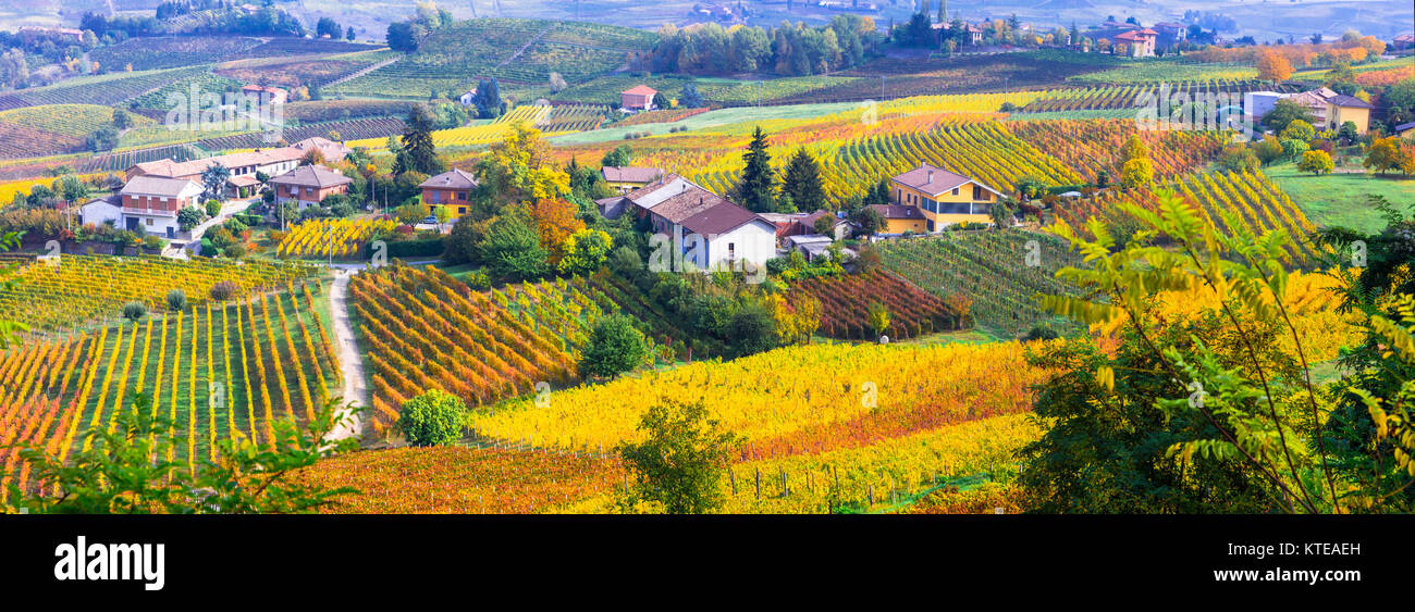 Beeindruckende Herbst Landschaft, mit bunten Weinberge, Region Piemont, Italien. Stockfoto