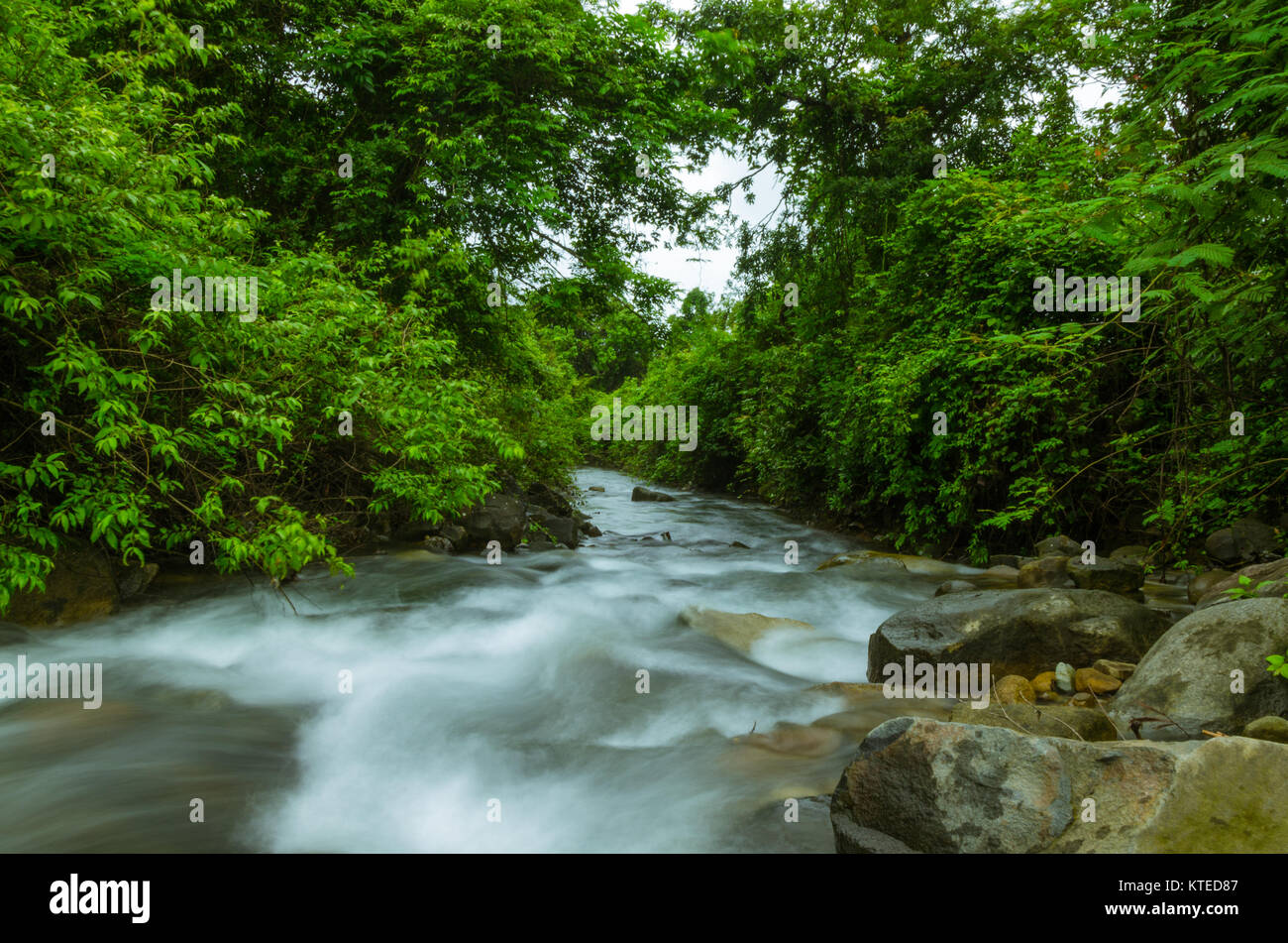 Strom mit glatten fliessendes wasser wald landschaft bei Nagarmadi Wasserfälle, Chendia, Karnataka, Indien Stockfoto