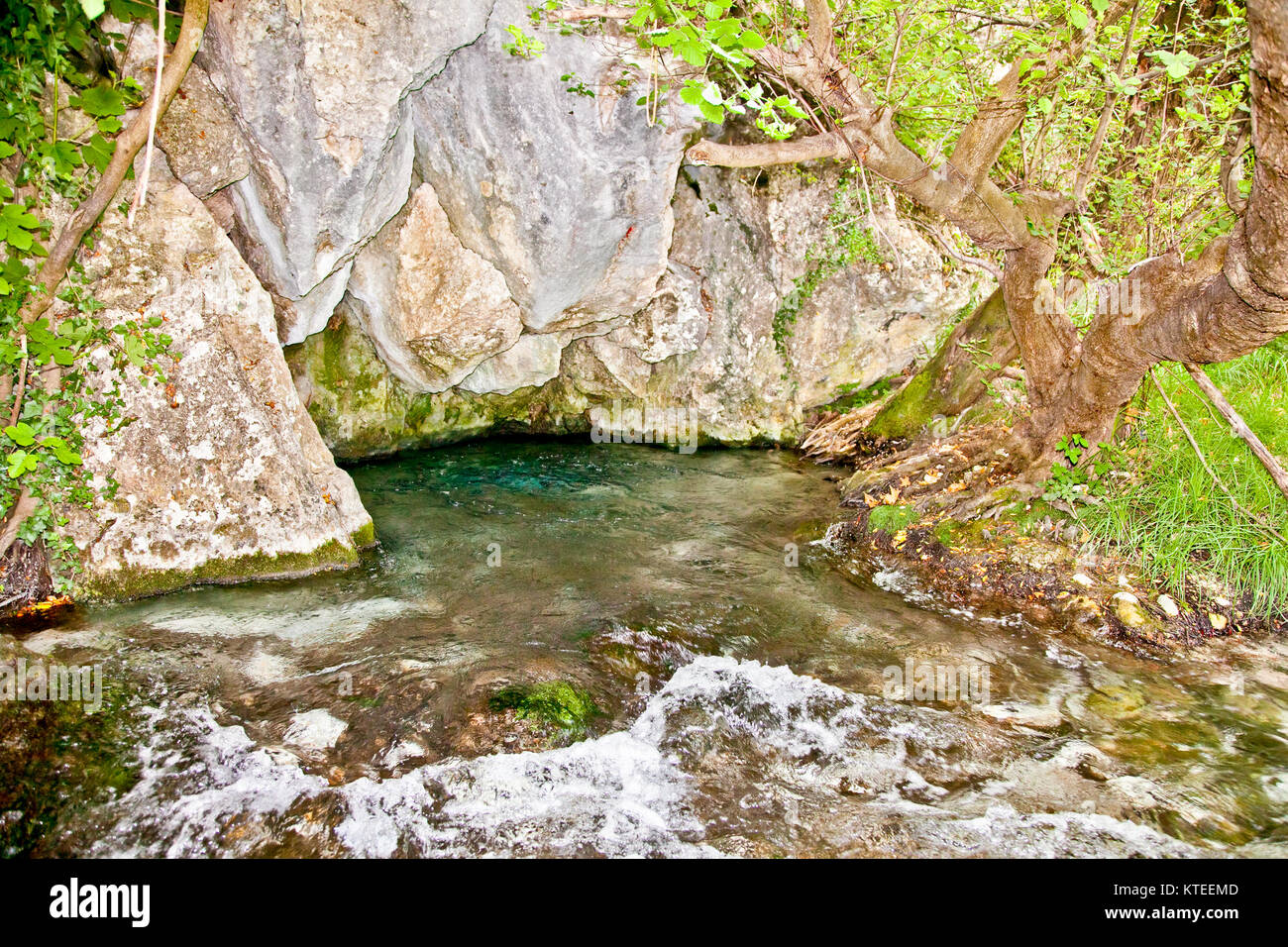 Akilles der Quellen in der Schlucht Flusses Acheron, Griechenland. Stockfoto