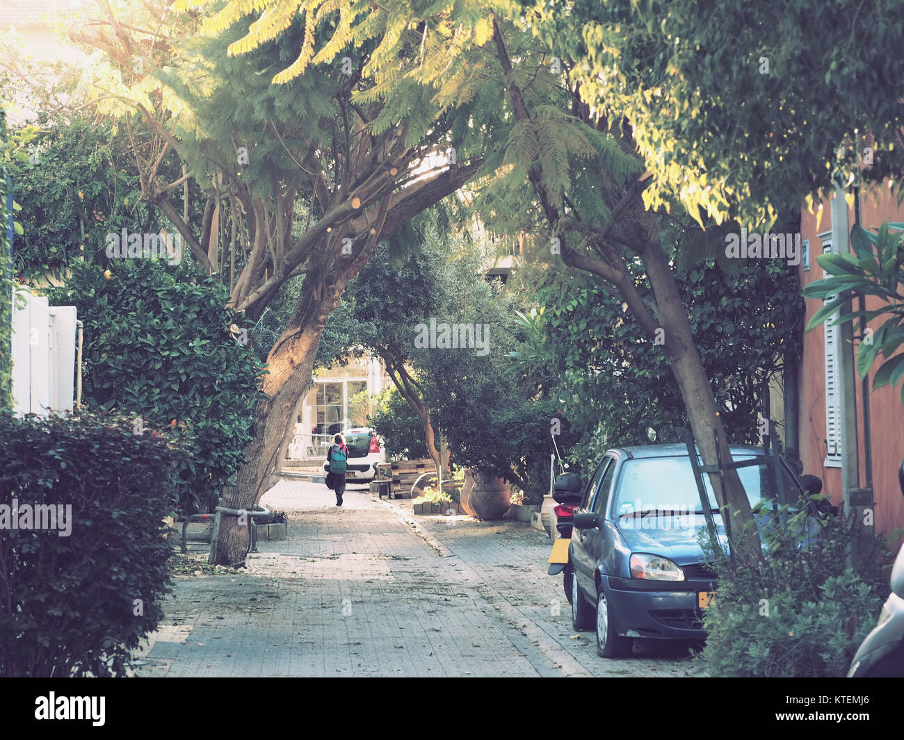 Ein buntes Bild, das während der Abendzeit von einem malerischen aufgenommen wurde Urbane Straße, die einen rustikalen Charakter hat Stockfoto