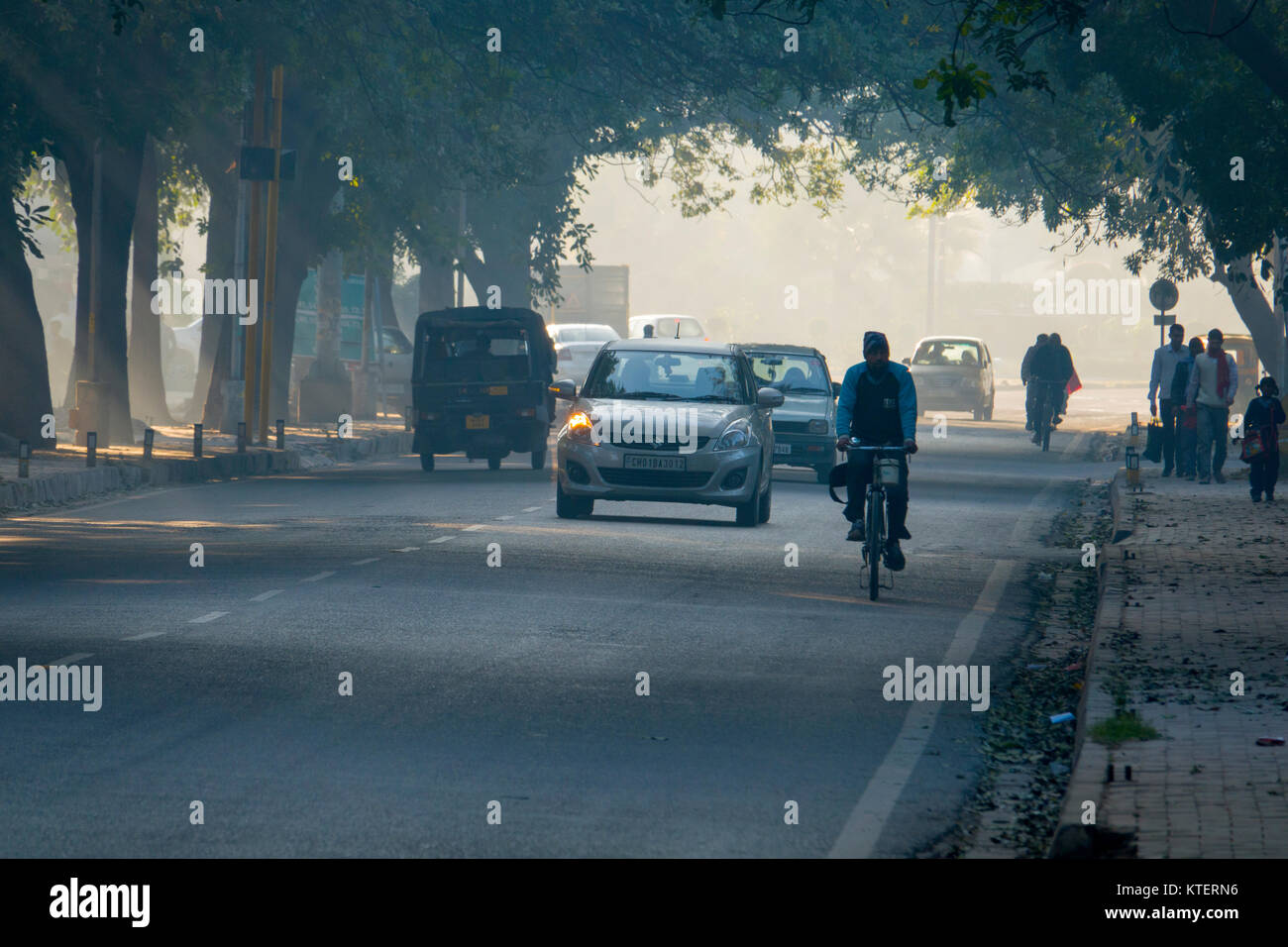 Verkehr in mit Bäumen gesäumten Straße von Chandigarh, Indien Stockfoto