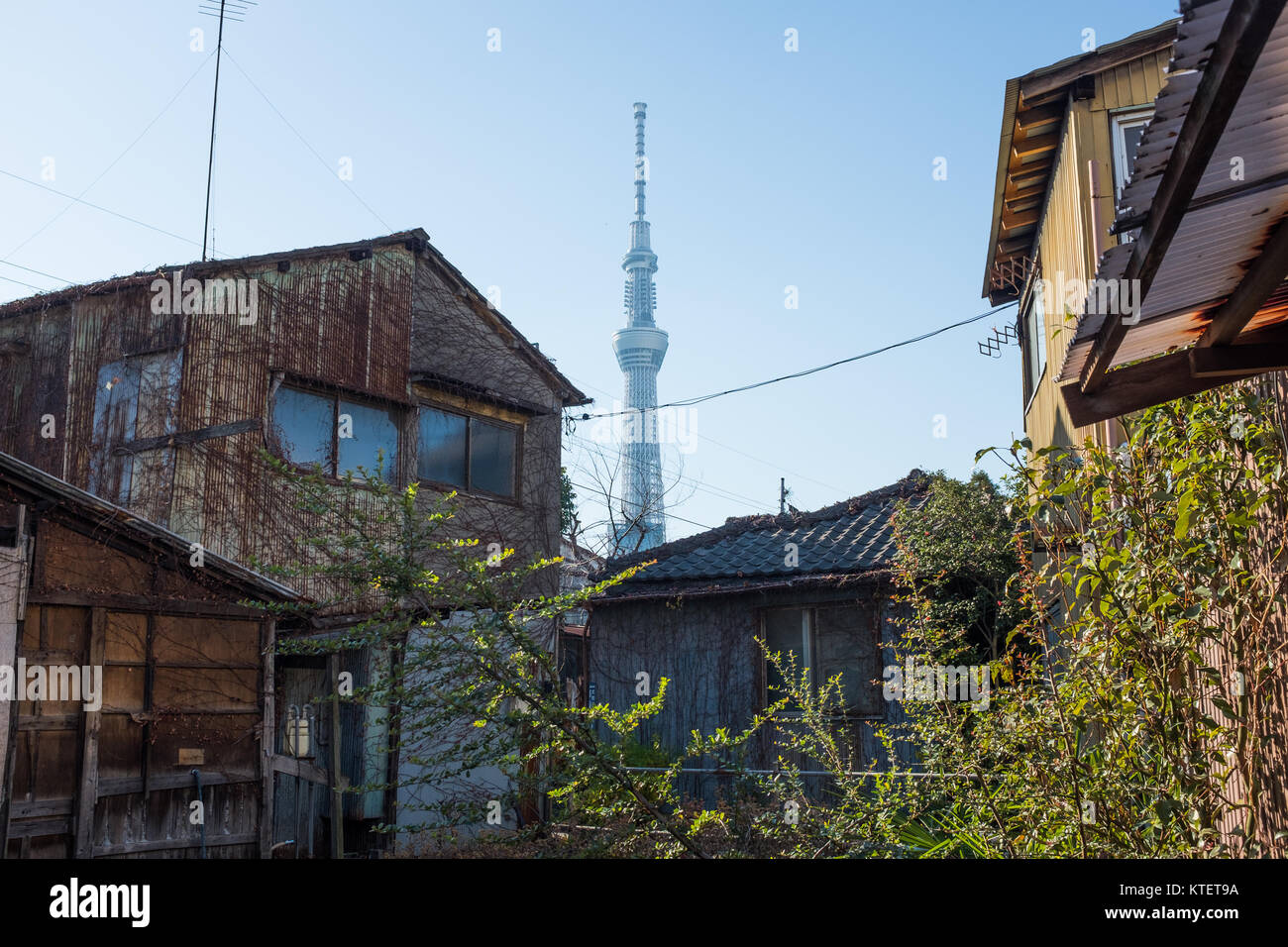 Tokio Skytree in Japan Schuss aus einer nahe gelegenen Nachbarschaft. Stockfoto
