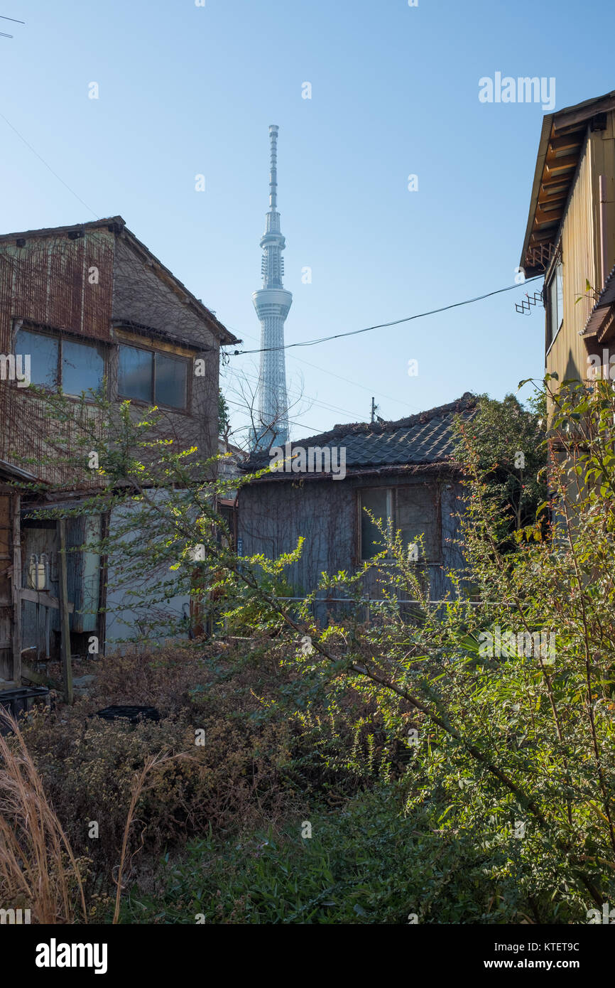 Tokio Skytree in Japan Schuss aus einer nahe gelegenen Nachbarschaft. Stockfoto