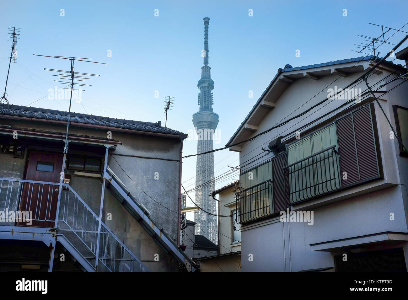 Tokio Skytree in Japan Schuss aus einer nahe gelegenen Nachbarschaft. Stockfoto