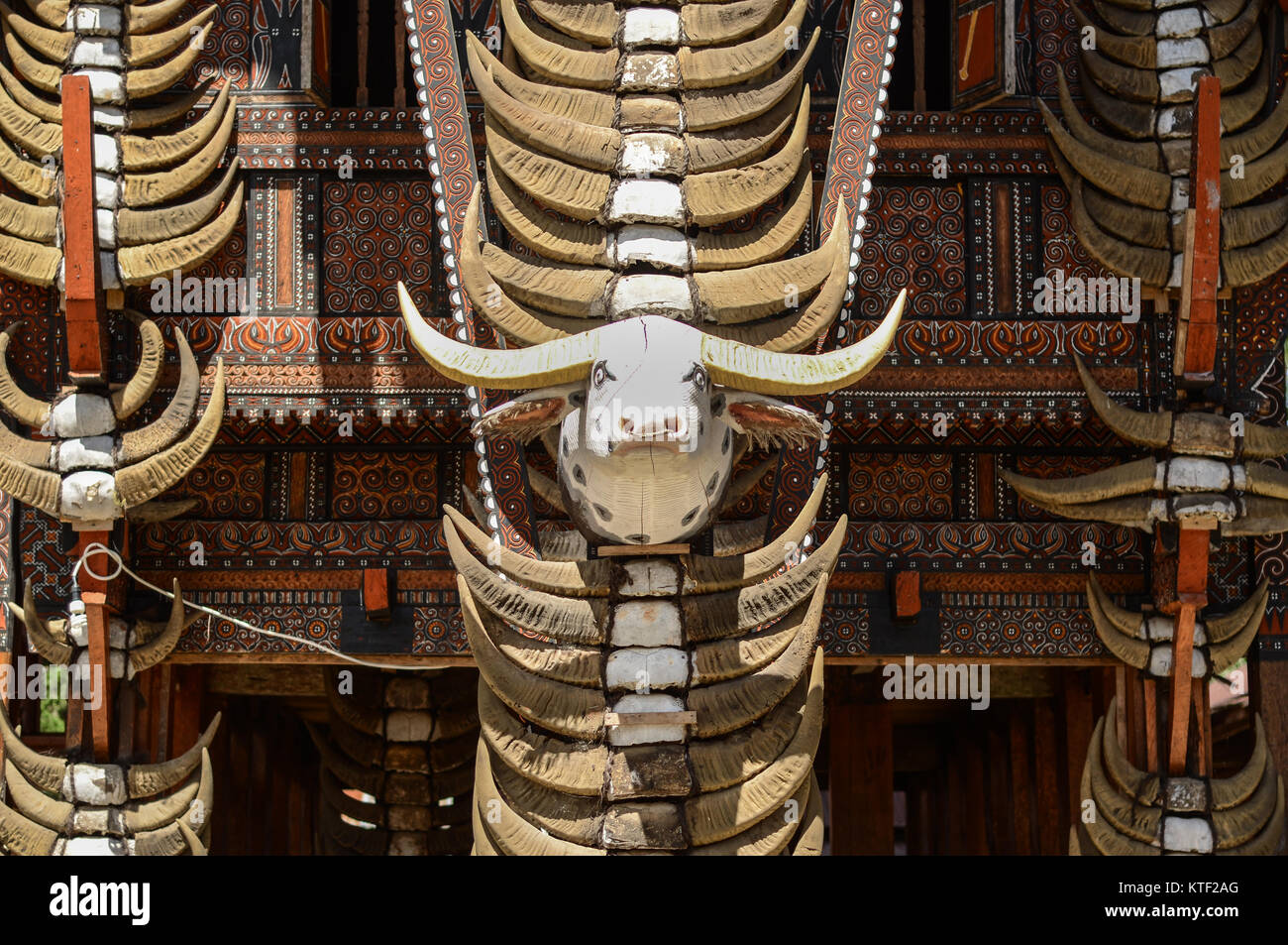 Holz- Büffel Kopf und gestapelt echten Buffalo Horn ziert ein Haus in Tongkonan Toraja. Stockfoto