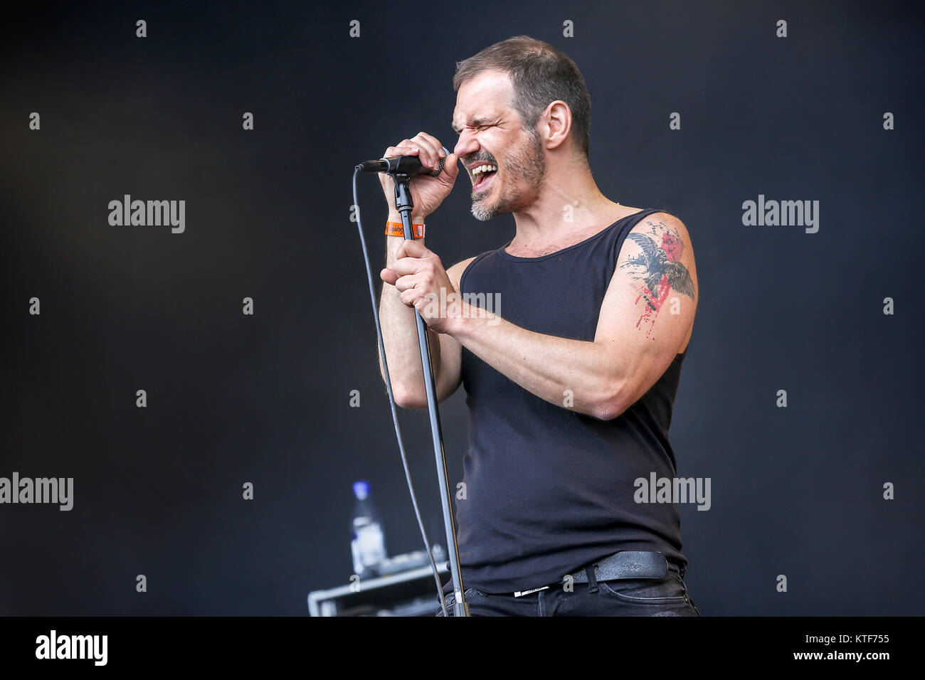 Die schwedischen Hard Rock Band 220 Volt führt ein Live Konzert auf dem Sweden Rock Festival 2016. Schweden, 10/06 2016. Stockfoto