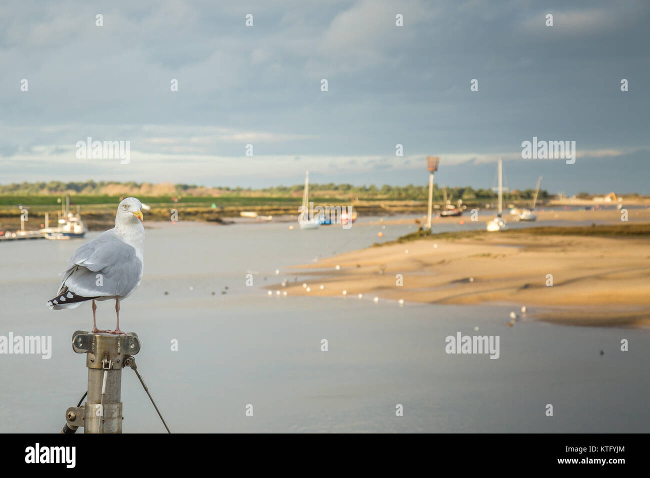 Der Hafen von Wells-next-das Meer auf einer sonnigen Weihnachten Stockfoto