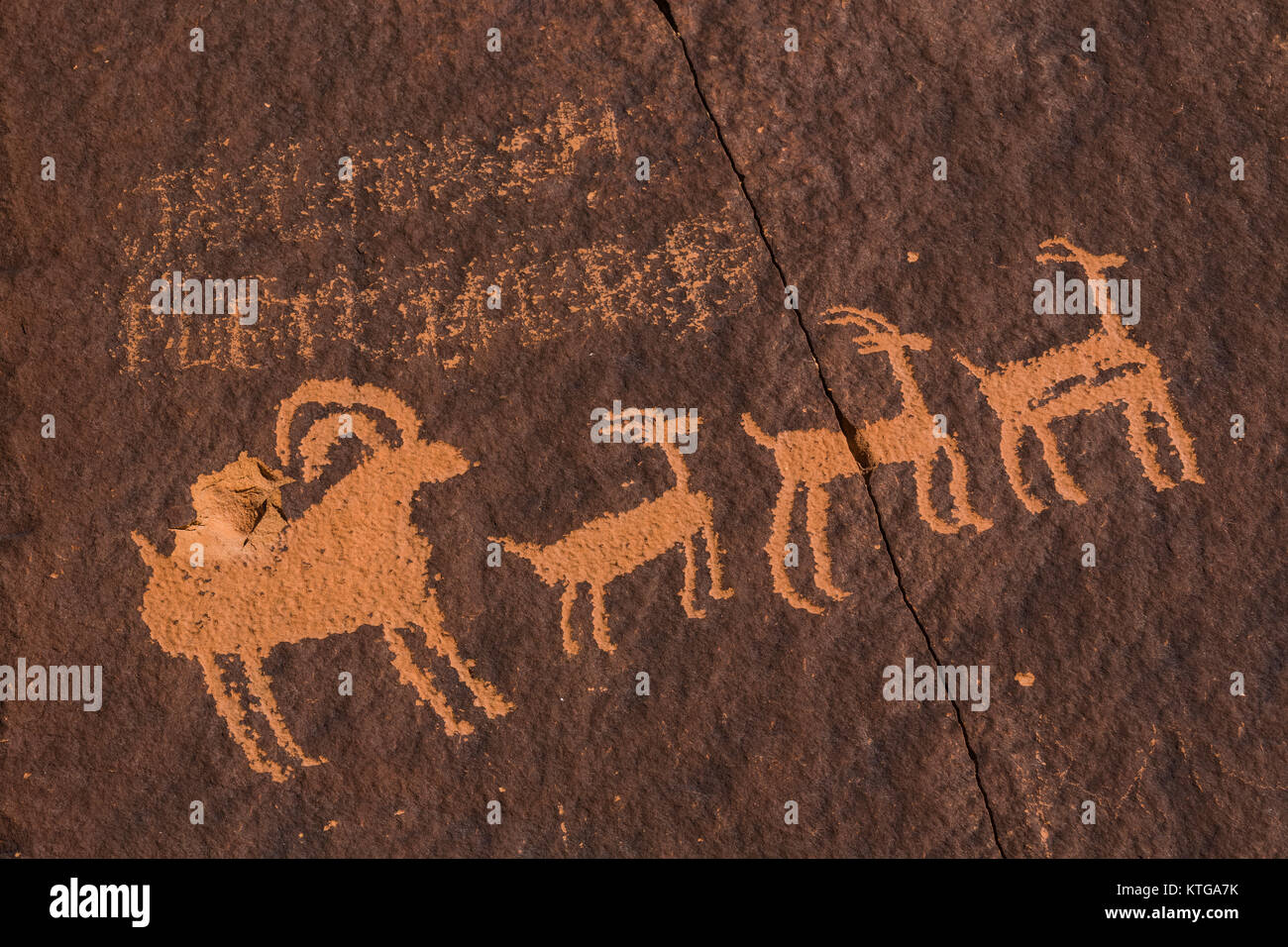 Dickhornschafe Petroglyphen von Ute Leute an Newspaper Rock in der Nähe von Indian Creek National Monument, ehemals Bären Ohren NM, Utah, USA Stockfoto